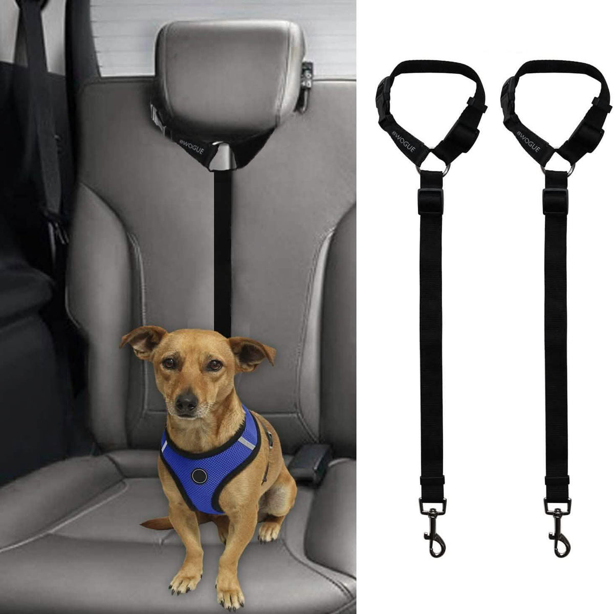 Paquete de 2: Cinturón de seguridad Bwogue para perros y gatos