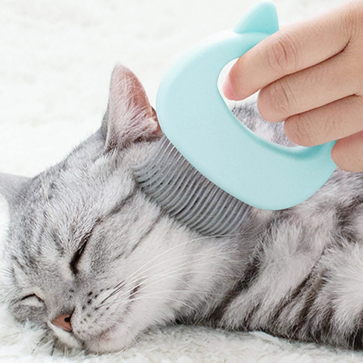 Paquete de 2: Cepillo de concha para eliminar el pelo de mascotas y masajear para acicalar y mudar