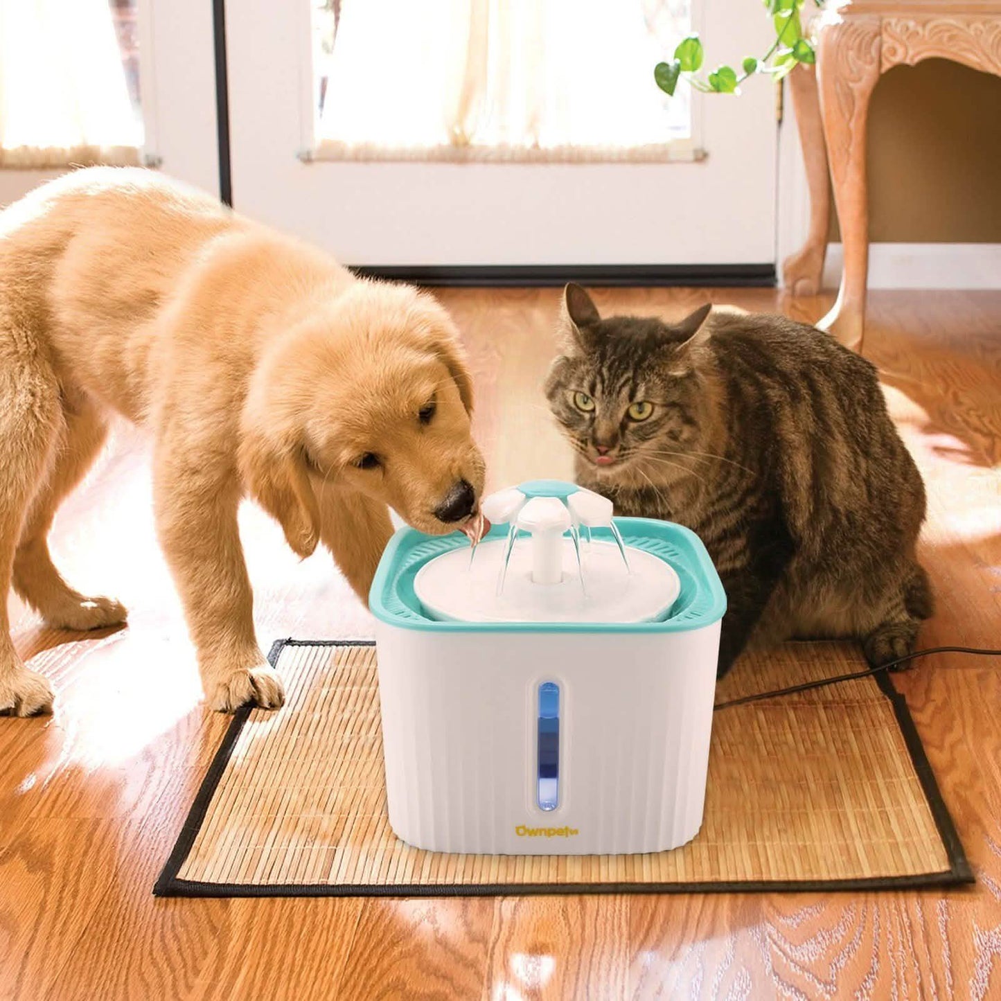 Bebedero/Fuente de Agua para Gatos de 2.5L Súper Silencioso