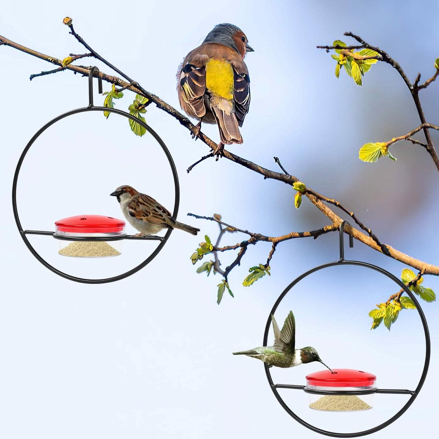 3 piezas: comedero colgante apilable para colibríes con estructura de metal y cuenco de plástico rojo