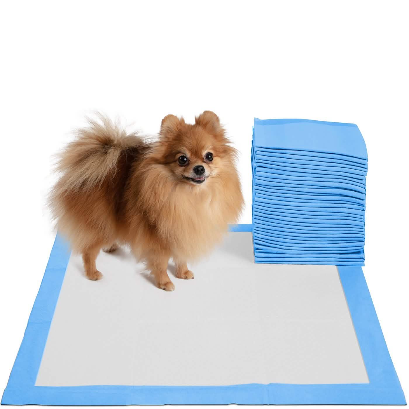 Paquete de 30: Empapadores para Cachorros Paws & Pals, para Entrenar la Micción, a Prueba de Fugas