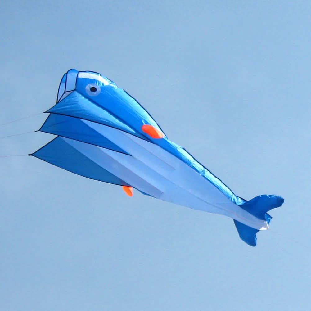 Cometa 3D sin marco suave gigante y parapente