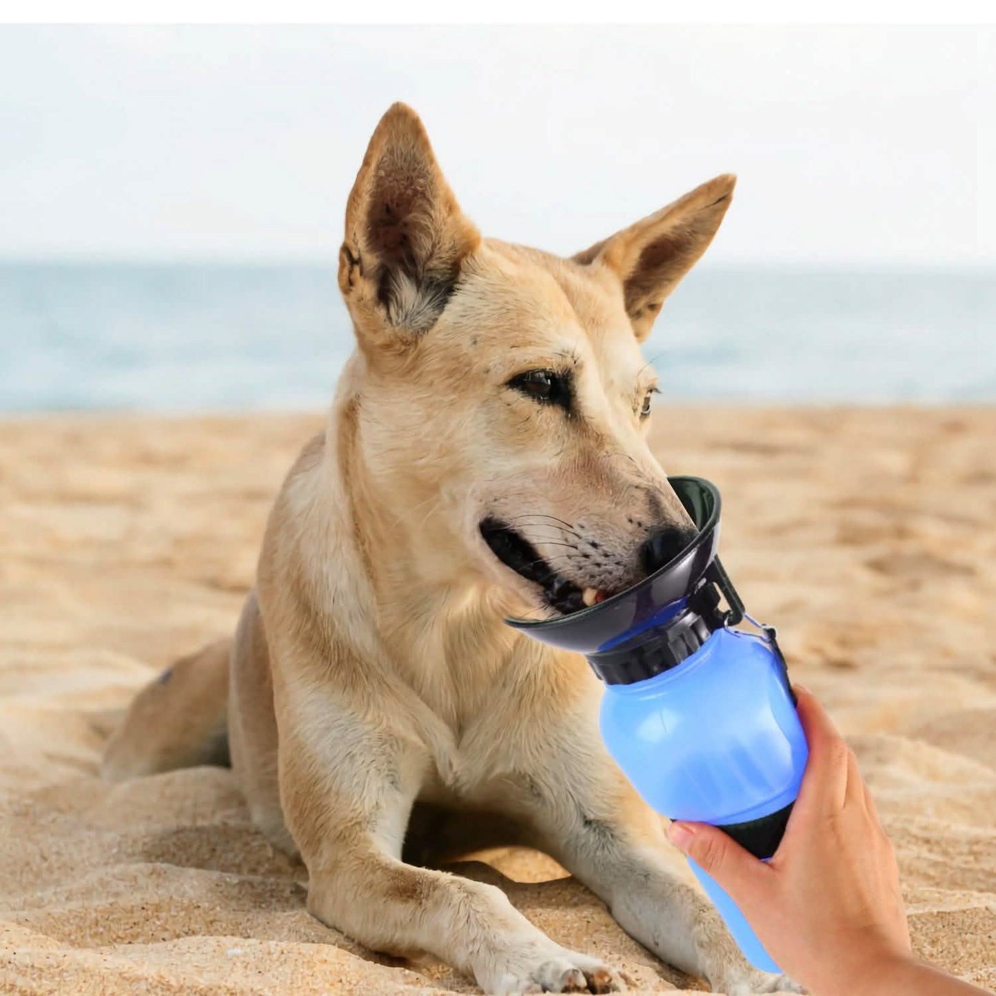 Botella de agua portátil de 500 ml para mascotas