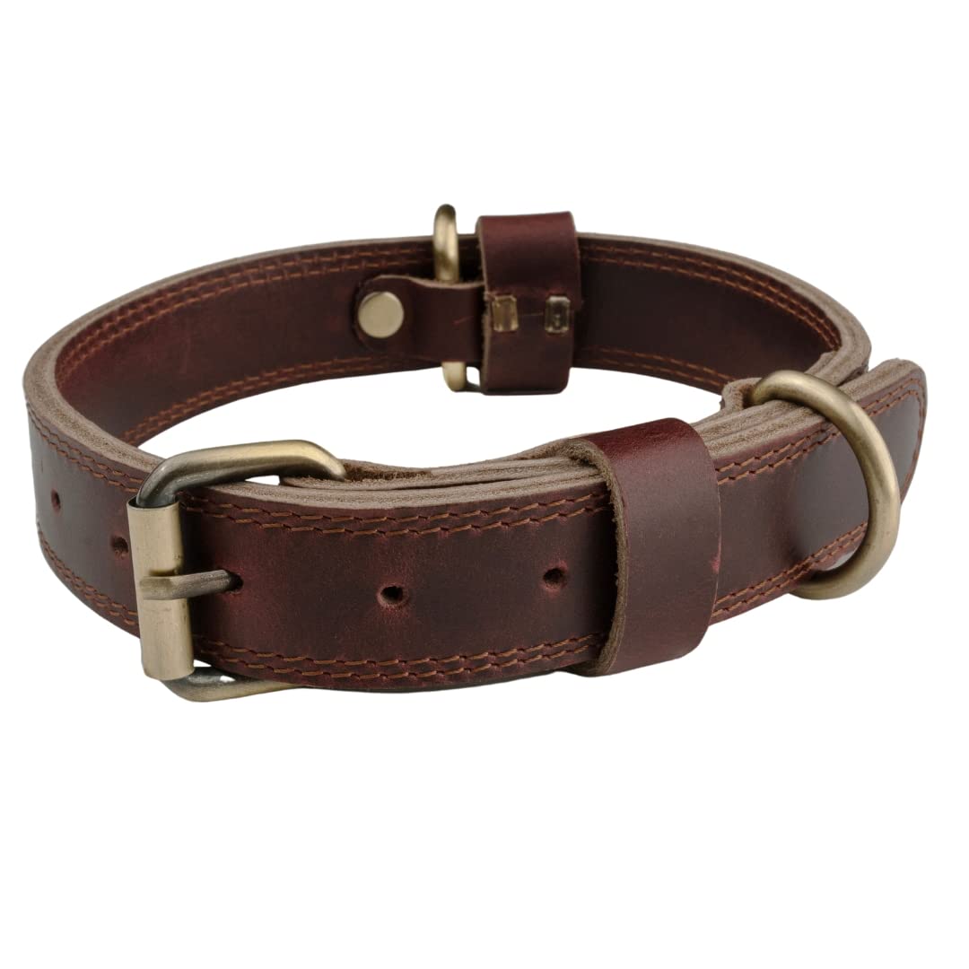 Collar de cuero para perro Boston Leather Goods, collar resistente para perros pequeños, medianos o grandes (mediano (14-18 pulgadas) 1 pulgada de ancho)