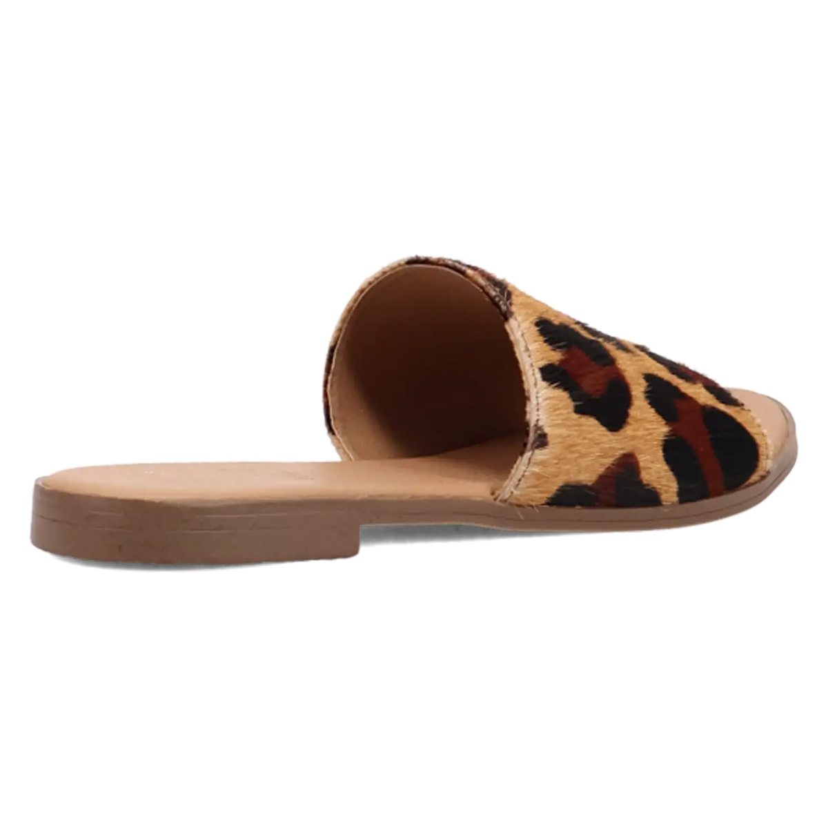 Dingo Tabby - Sandalias de mujer