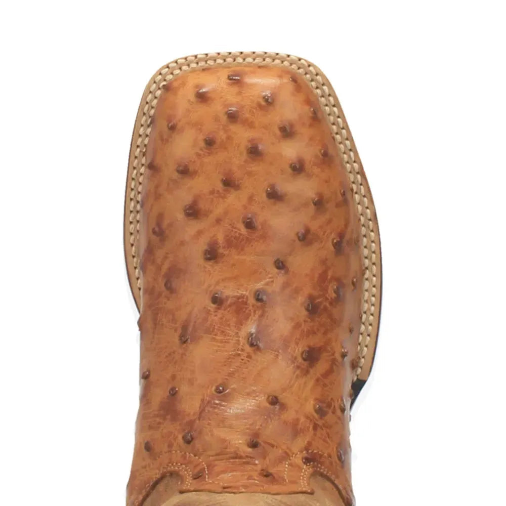 Dan Post Alamosa - Botas de vaquero de piel de avestruz para hombre