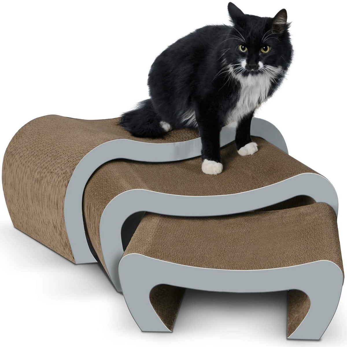 Salón rascador para gatos