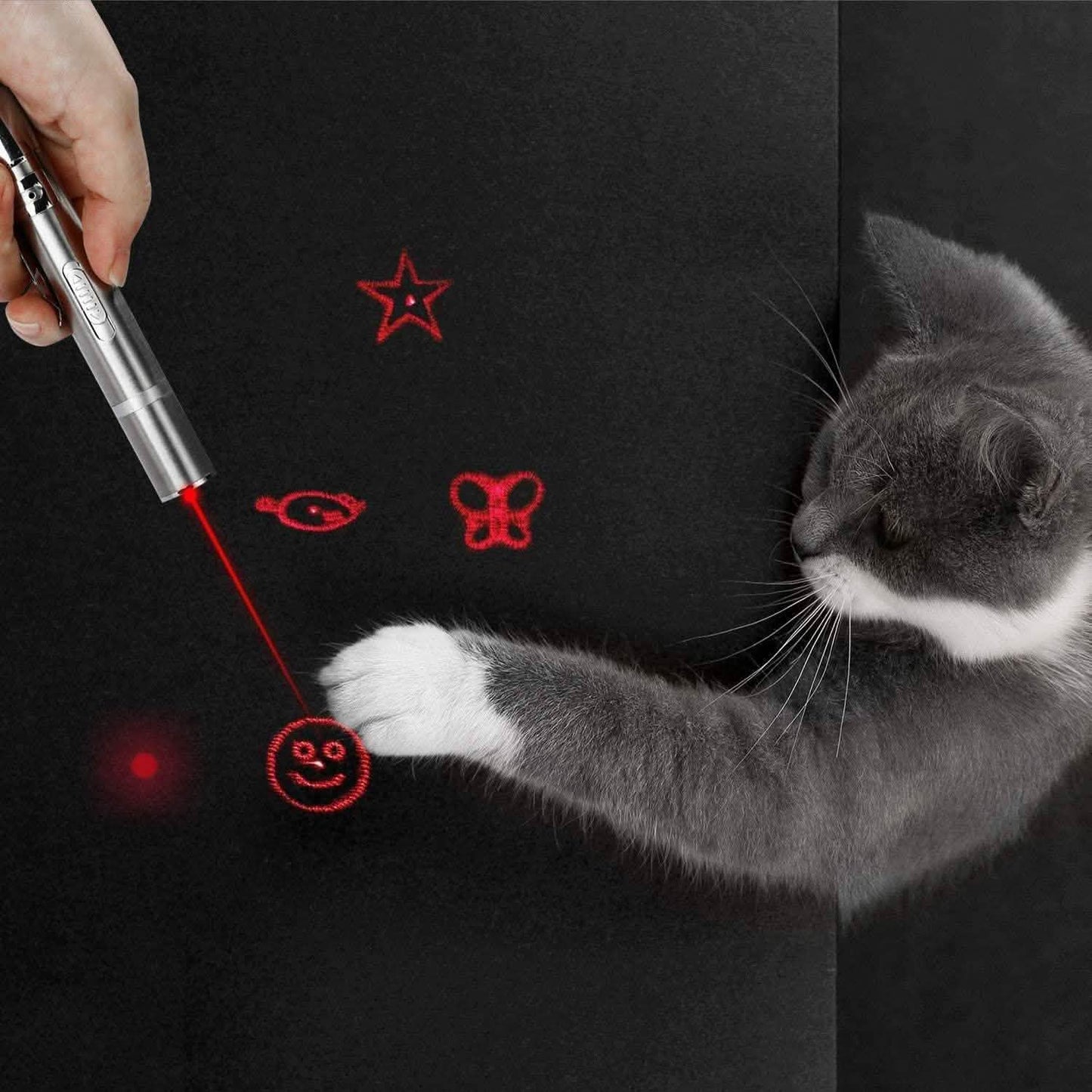 Juguete Láser para Gatos de Interior y Exterior