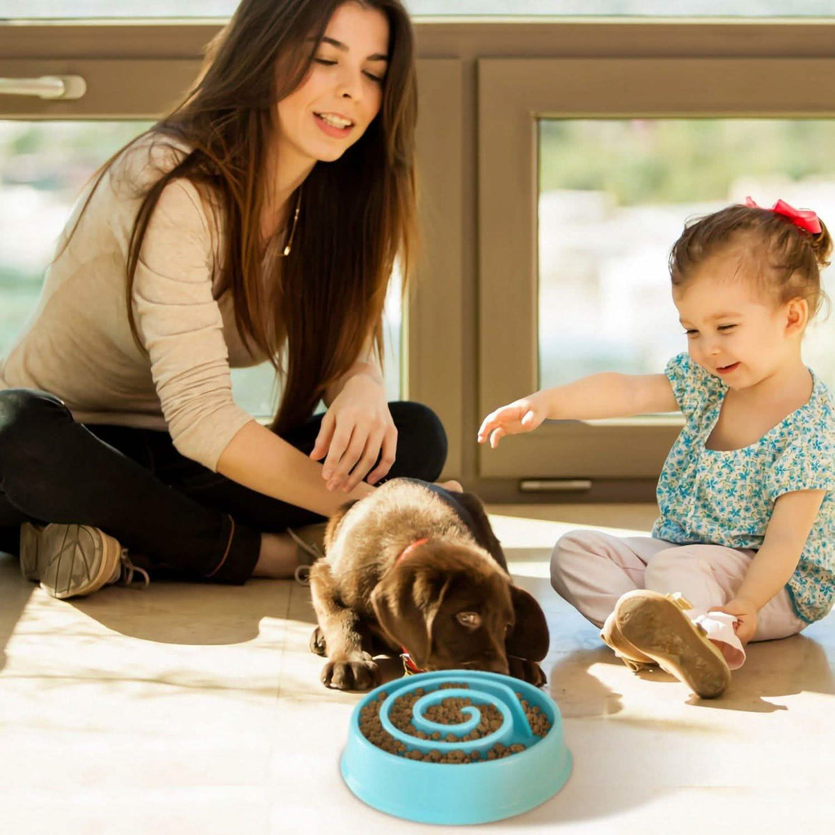 Comedero lento para perros y gatos