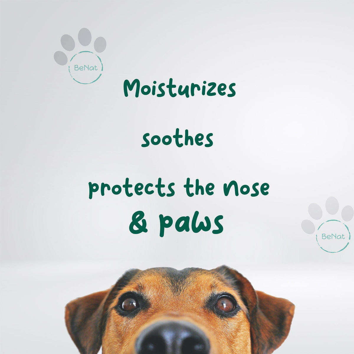 BeNat Pets. Paquete de Aseo para Mascotas 3 en 1. Jabón en Barra para Mascotas + Bálsamo para Mascotas + Toalla de Baño