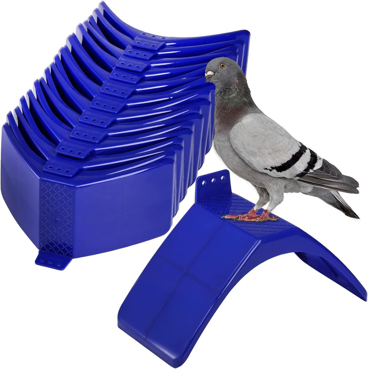 Coloch 20 unidades de perchas ligeras para palomas, de plástico, para pájaros, marco de vivienda para palomas, accesorios de jaula para loros y otros pájaros