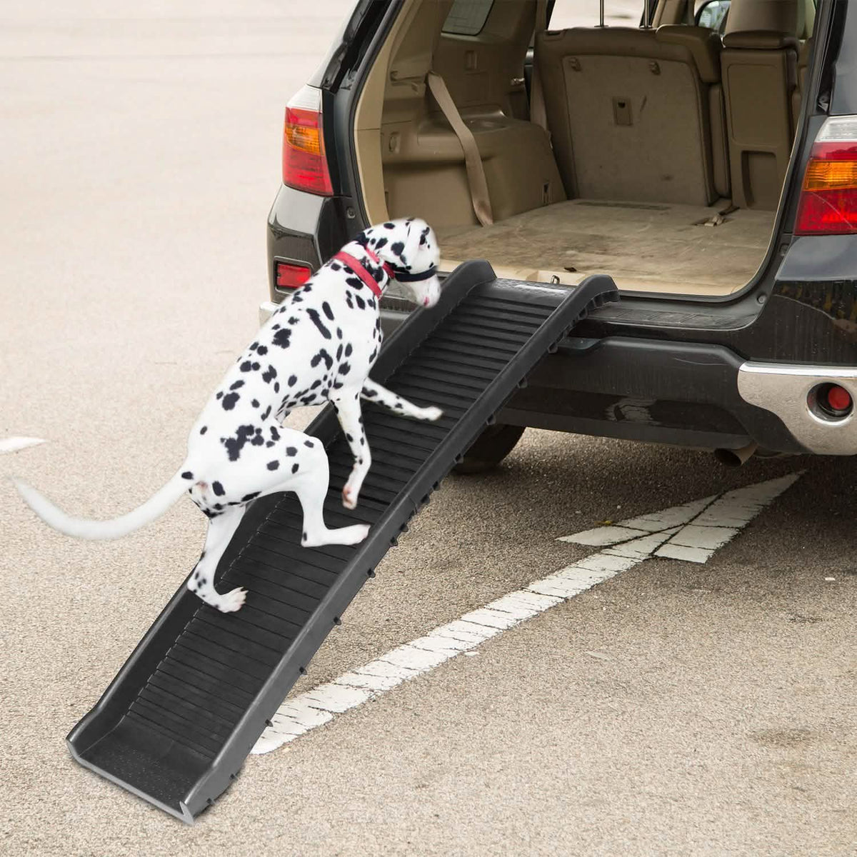 Rampa plegable para mascotas, escalera antideslizante