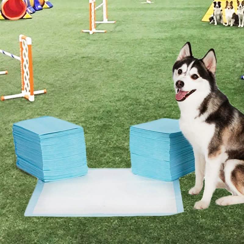 Empapadores de entrenamiento de alta resistencia para mascotas
