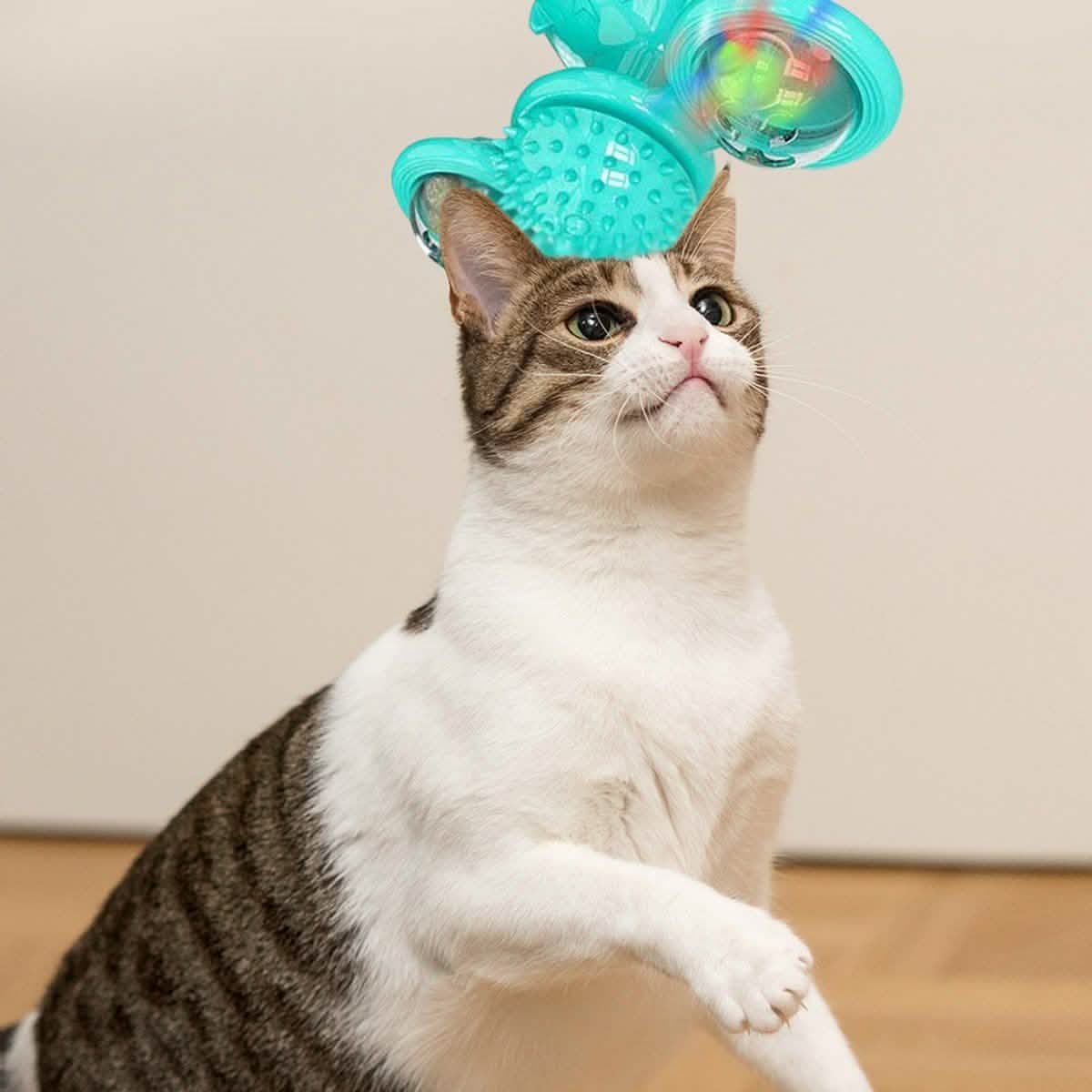 Juguete interactivo rascador de masaje con hierba gatera y bola LED para gatos de interior