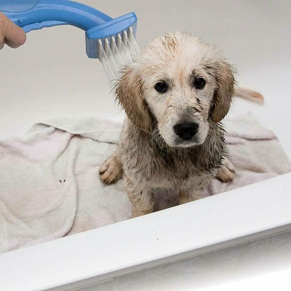 Lavadora para perros de interior y exterior Pet Zoom Bathe and Groom