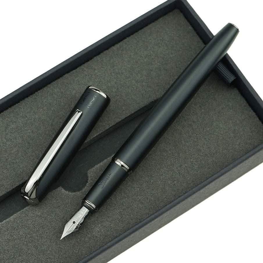 Pluma estilográfica Picasso 916 Ring