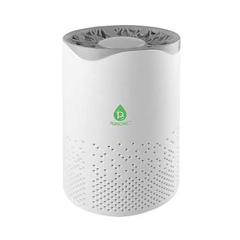 Purificador de aire True Hepa Pursonic con alimentación USB
