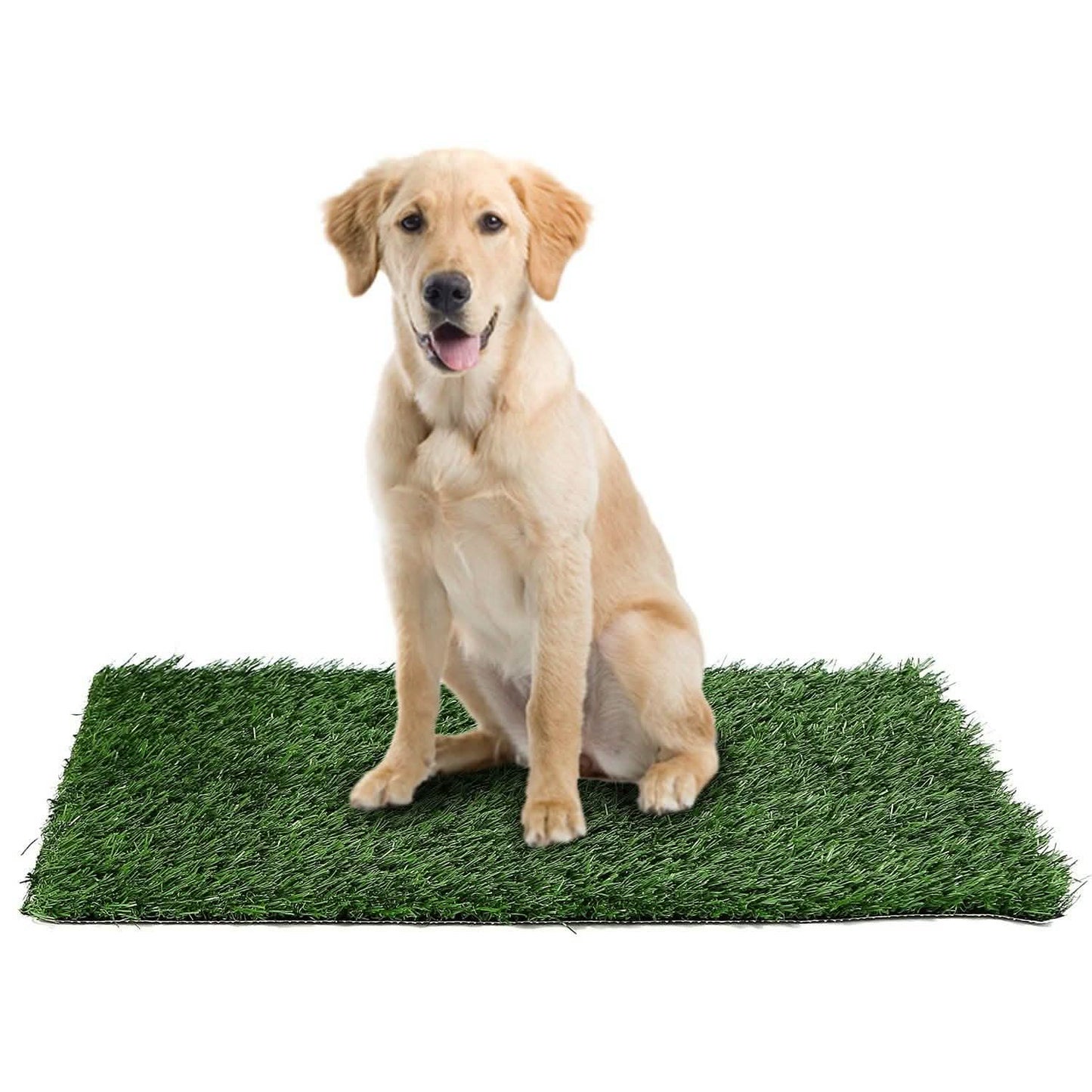 Alfombra de Césped de Repuesto para Bandeja Sanitaria de Mascotas