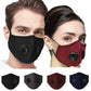 10-Pieces: Double Breathing Valve PM 2.5 Mask Respirator