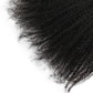 Frontal de cabello humano Afro Kinky 13x6 HD Lace