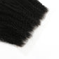 Frontal de cabello humano Afro Kinky 13x6 HD Lace