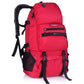 Charming Stylish Versatile Local Lion Hiking Sports Backpacks