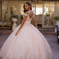 Juliet 1430 Dress Quinceanera Ball Gown Embroidered Applique Glitter Tulle