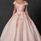 Juliet 1433 Dress Quinceanera Ball Gown 3D Floral Embroidered