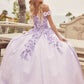 Juliet 1433 Dress Quinceanera Ball Gown 3D Floral Embroidered