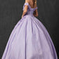 Juliet 1433 Dress Quinceanera Ball Gown 3D Floral Embroidered