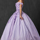 Juliet 1433 Dress Quinceanera Ball Gown 3D Floral Embroidered