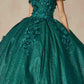 Juliet 1433 Dress Quinceanera Ball Gown 3D Floral Embroidered