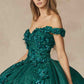 Juliet 1433 Dress Quinceanera Ball Gown 3D Floral Embroidered