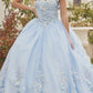 Juliet 1434 Dress Quinceanera Ball Gown 3D Floral Embroidered