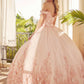 Juliet 1434 Dress Quinceanera Ball Gown 3D Floral Embroidered