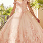 Juliet 1434 Dress Quinceanera Ball Gown 3D Floral Embroidered