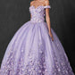 Juliet 1434 Dress Quinceanera Ball Gown 3D Floral Embroidered