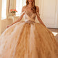 Vestido de quinceañera Juliet JT1488H Royal Princess de corte A