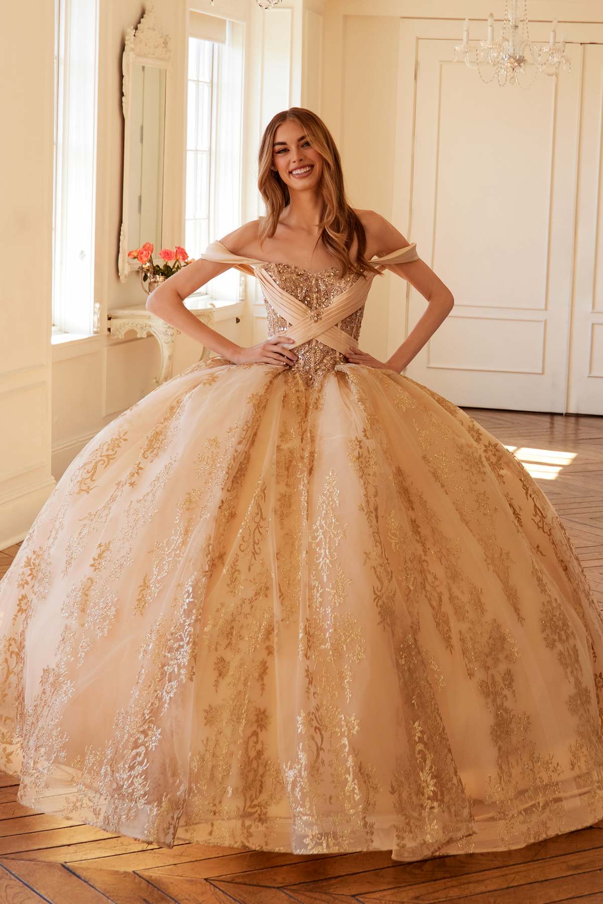 Vestido de quinceañera Juliet JT1488H Royal Princess de corte A