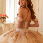 Vestido de quinceañera Juliet JT1488H Royal Princess de corte A