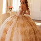 Vestido de quinceañera Juliet JT1488H Royal Princess de corte A