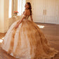 Vestido de quinceañera Juliet JT1488H Royal Princess de corte A