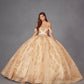 Vestido de quinceañera Juliet JT1488H Royal Princess de corte A