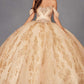 Vestido de quinceañera Juliet JT1488H Royal Princess de corte A