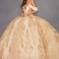 Vestido de quinceañera Juliet JT1488H Royal Princess de corte A