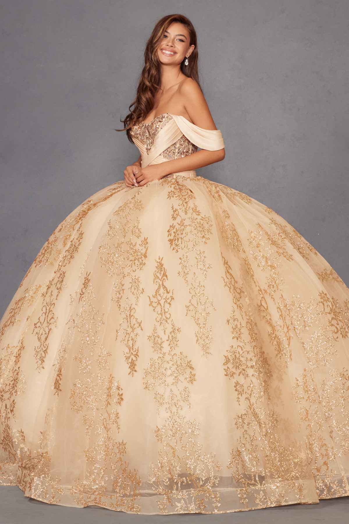 Vestido de quinceañera Juliet JT1488H Royal Princess de corte A