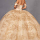 Vestido de quinceañera Juliet JT1488H Royal Princess de corte A