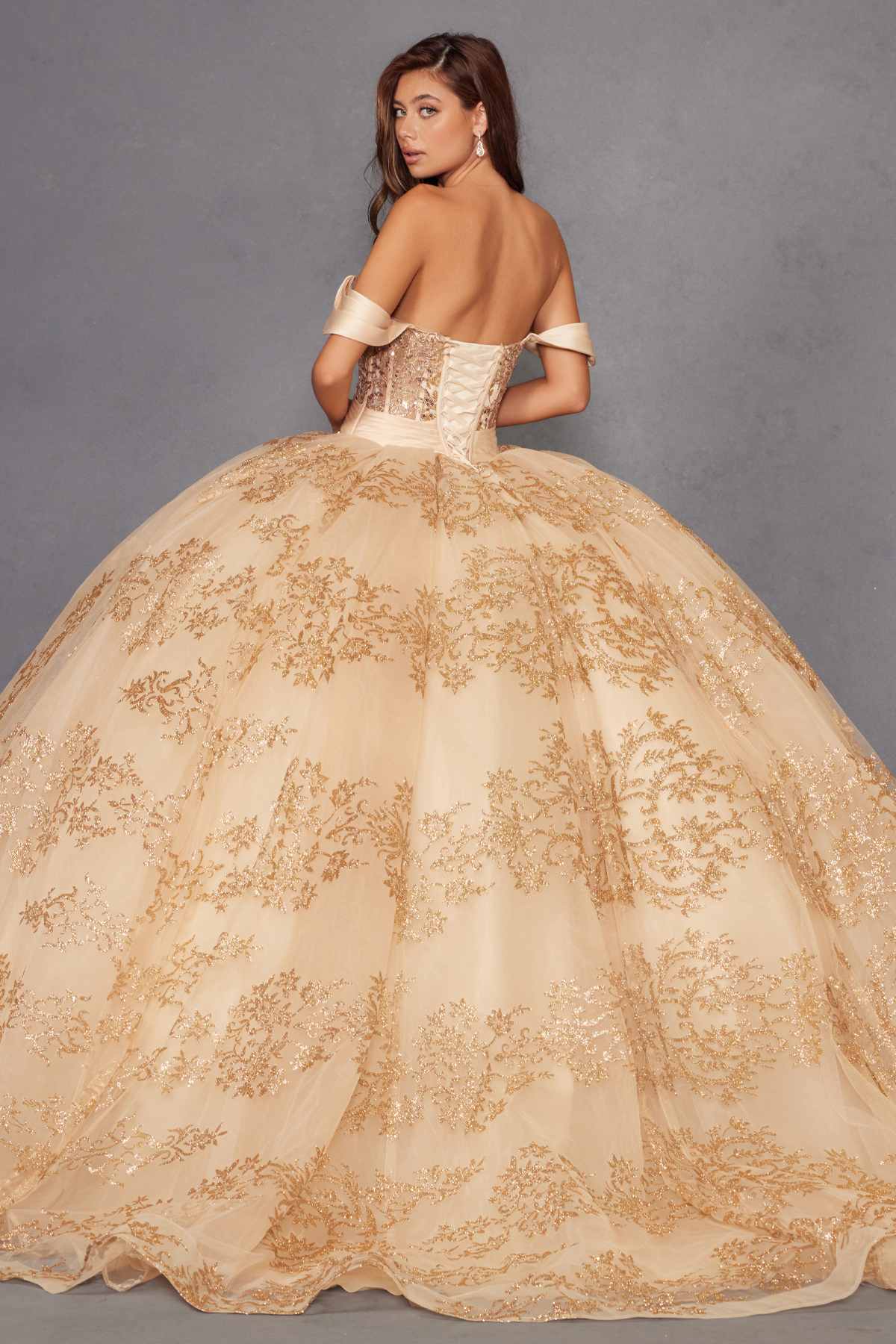 Vestido de quinceañera Juliet JT1488H Royal Princess de corte A