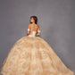 Vestido de quinceañera Juliet JT1488H Royal Princess de corte A