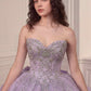 Ladivine 15730 Glitter Tulle Embroidered Lace Applique Sweet 16 Gown